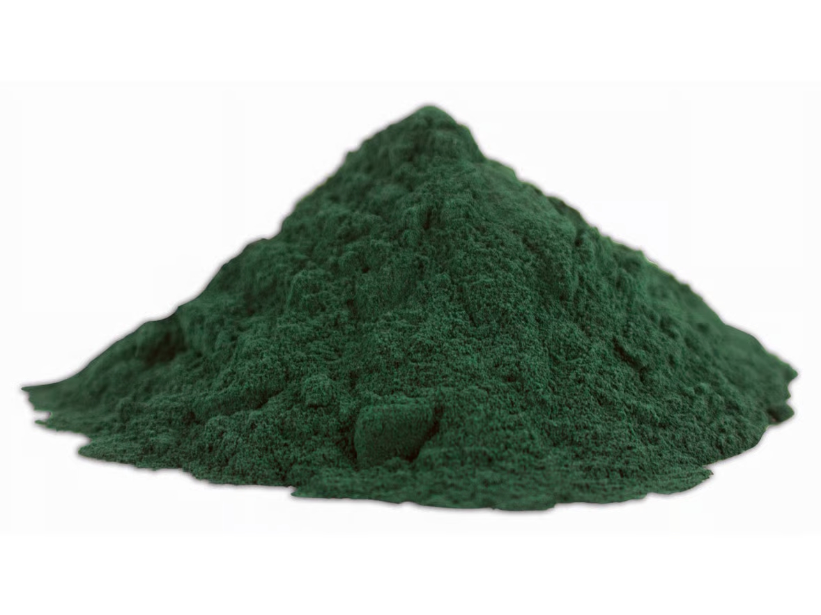 Spiruline (Arthrospira platensis) en poudre grossie au microscope, révélant sa structure filamenteuse et ses pigments caractéristiques